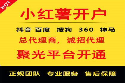 竞价排名成功案例分享